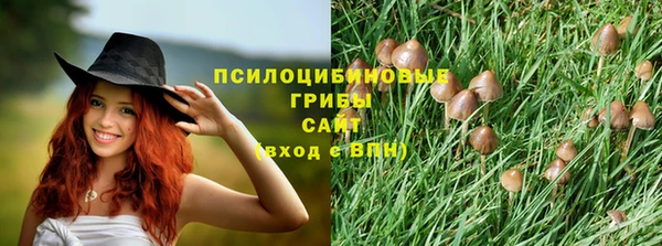 дживик Аркадак