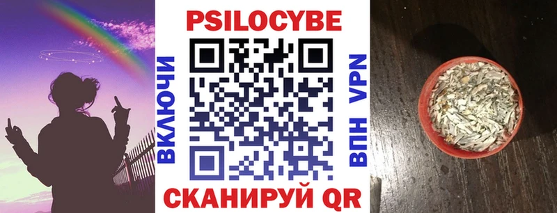 сколько стоит  Байкальск  Псилоцибиновые грибы MAGIC MUSHROOMS 